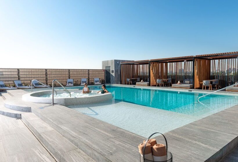 سوییت جونیور, Hilton Guadalajara Midtown