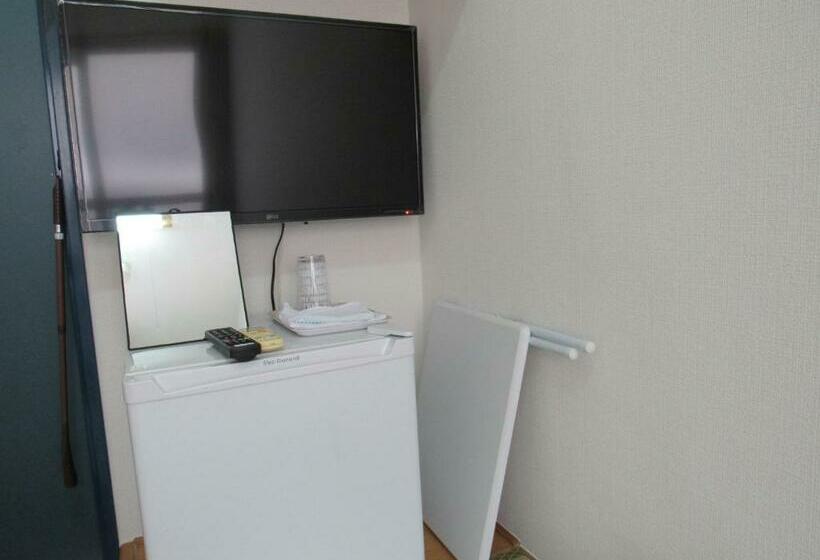 غرفة إقتصادية فردية, Mirai