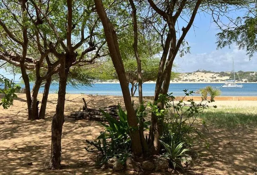 اتاق استاندارد با چشم‌انداز دریا, Mangrove House