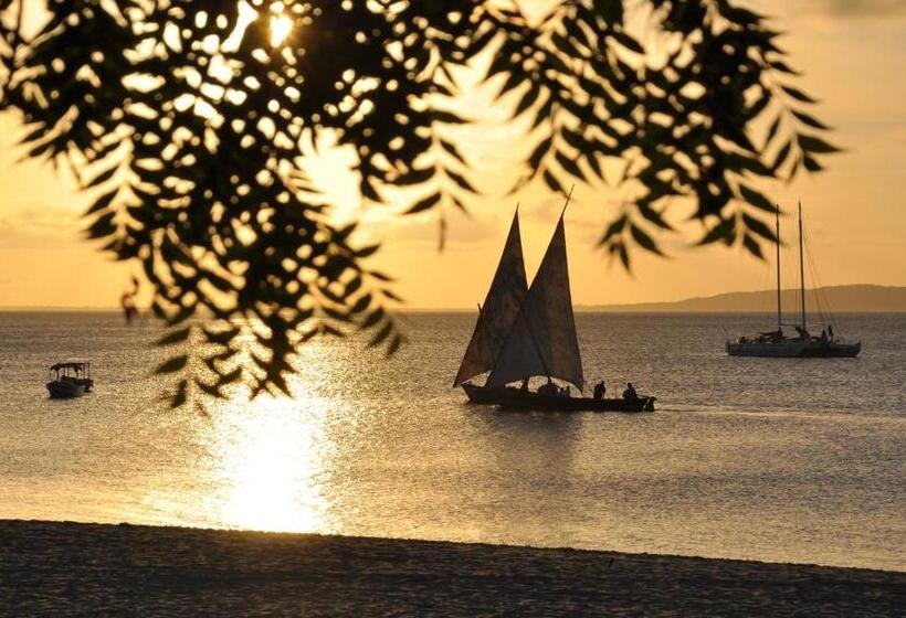 ویلای 1 خوابه, Mangrove House