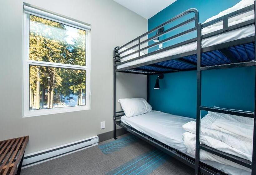 共用房间的床, Nowhere Special Hostel