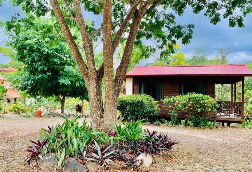 חדר סופריור, Sattva Land