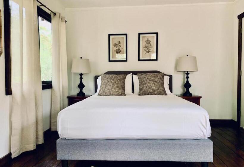 חדר סופריור, Sattva Land