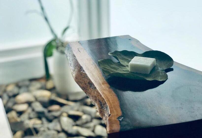 סטודיו סטנדרטי נוף לגינה, Sattva Land