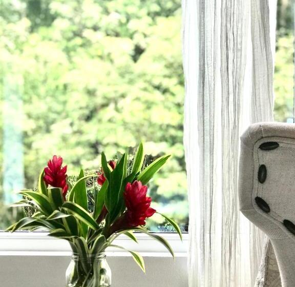 סטודיו סטנדרטי נוף לגינה, Sattva Land