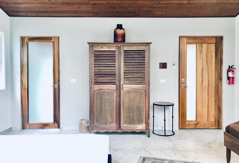 סטודיו סטנדרטי נוף לגינה, Sattva Land