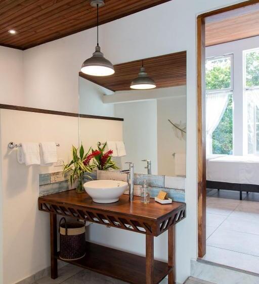 סטודיו סטנדרטי נוף לגינה, Sattva Land