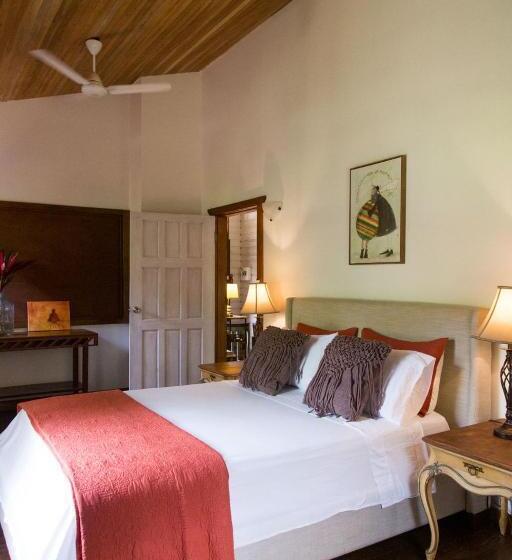 חדר דלוקס, Sattva Land