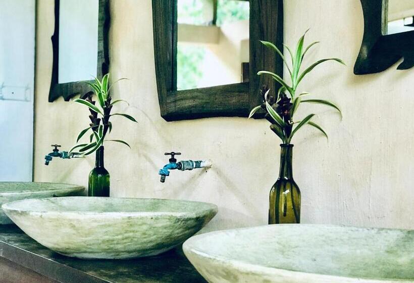 חדר סטנדרט נוף לגינה, Sattva Land