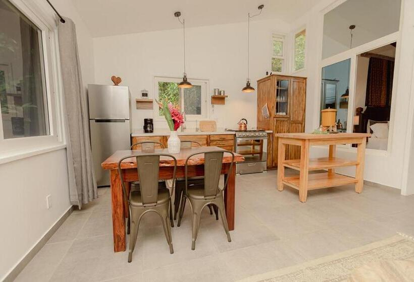 סטודיו דלוקס, Sattva Land