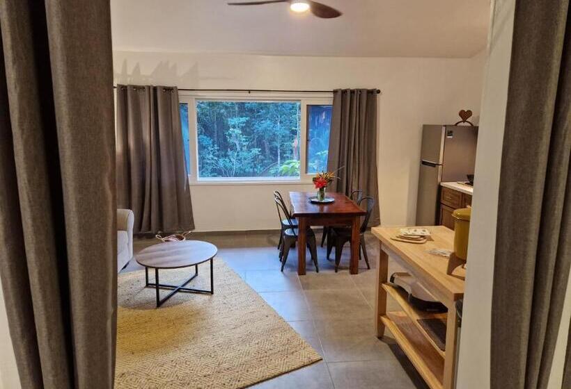 סטודיו דלוקס, Sattva Land