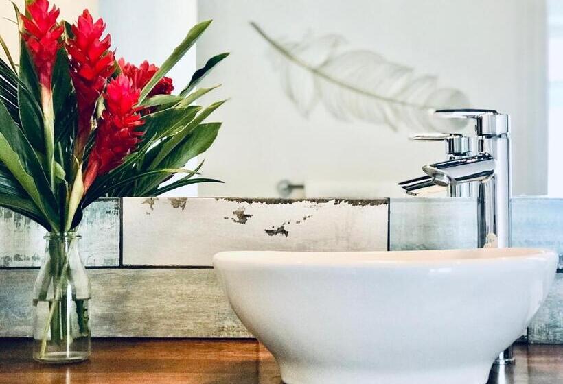 סטודיו דלוקס, Sattva Land