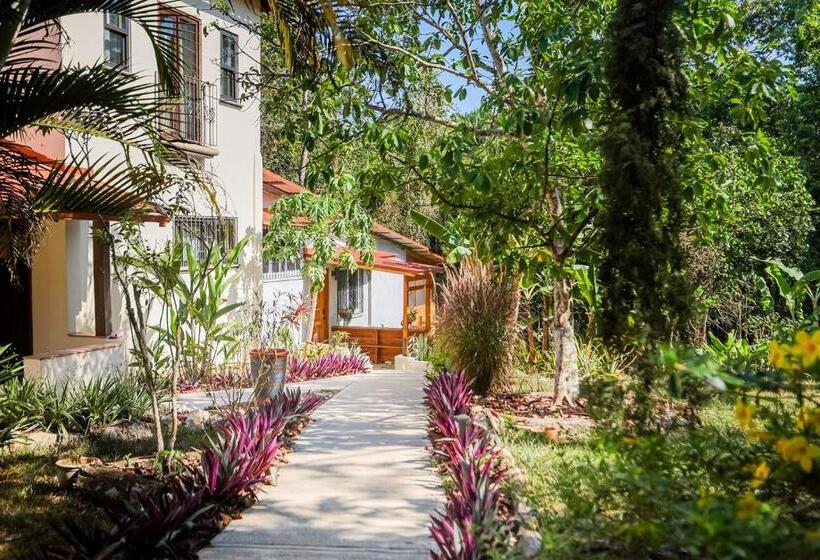 דירת חדר דלוקס, Sattva Land