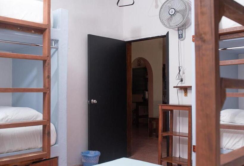 מיטה בחדר משותף, Mapache Hostel & Camping