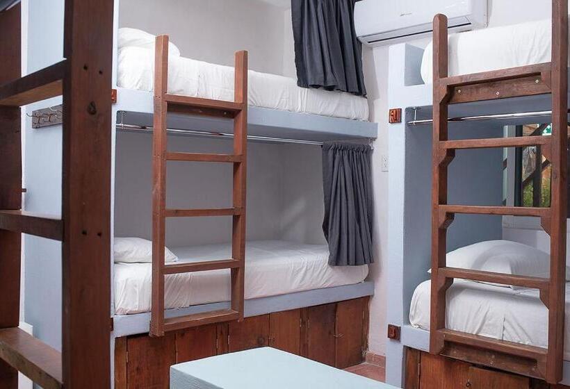 מיטה בחדר משותף, Mapache Hostel & Camping