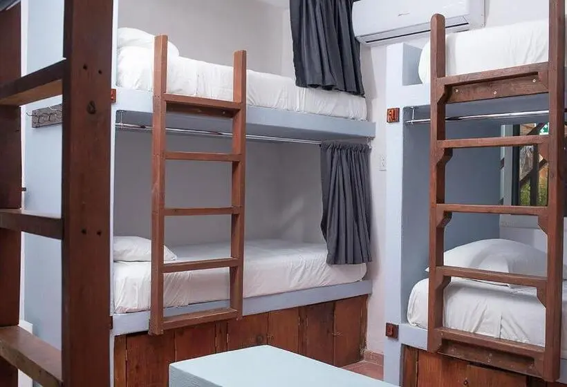 تختخواب در اتاق مشترک, Mapache Hostel & Camping
