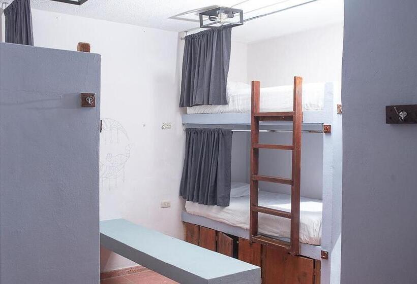 מיטה בחדר משותף, Mapache Hostel & Camping