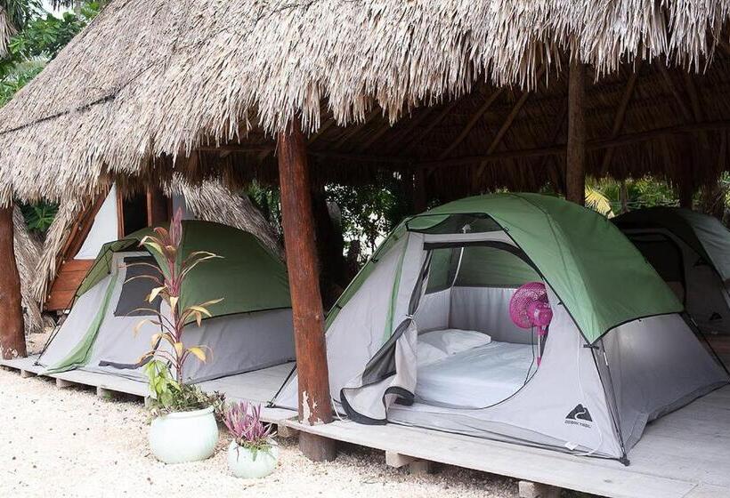 Standard Tent, Mapache Hostel & Camping