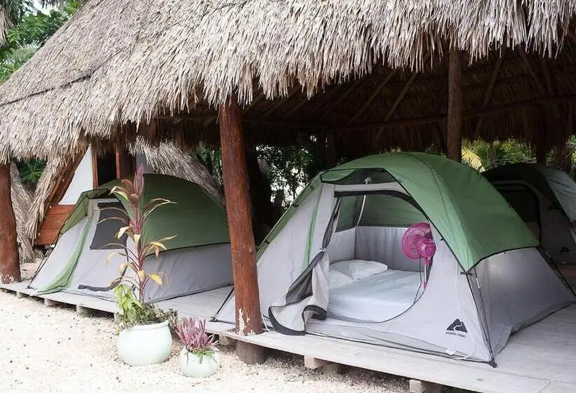 چادر با خدمات رفاهی استاندارد, Mapache Hostel & Camping