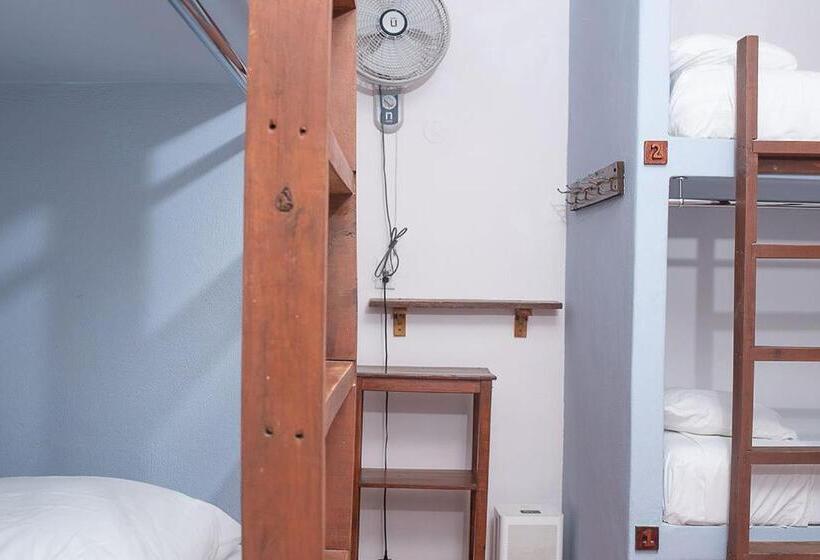 מיטה בחדר משותף, Mapache Hostel & Camping