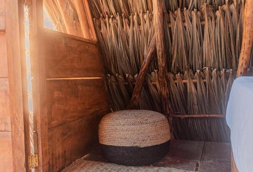 חדר סטנדרט חדר אמבטיה משותף, Mapache Hostel & Camping