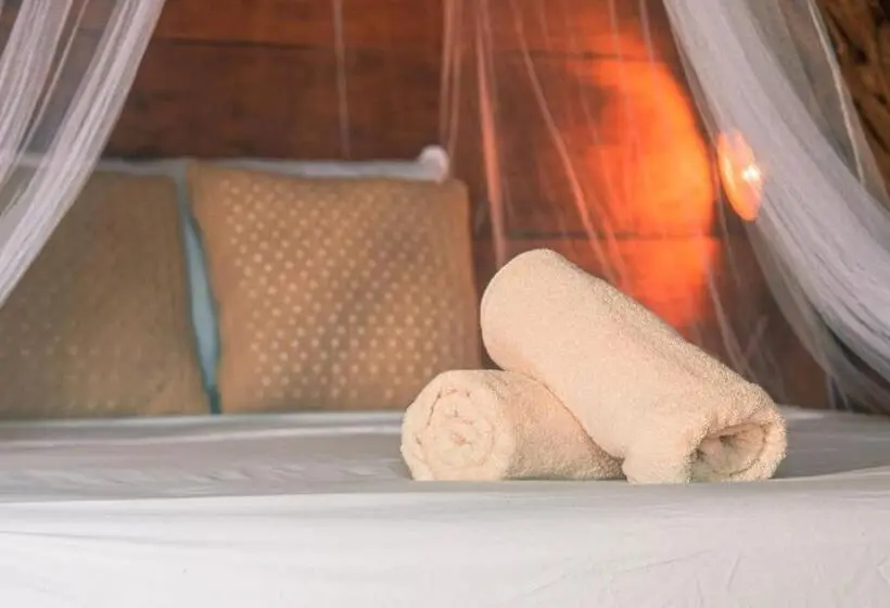 اتاق استاندارد با سرویس بهداشتی مشترک, Mapache Hostel & Camping
