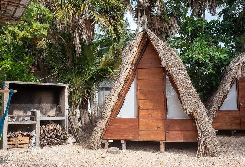 חדר סטנדרט חדר אמבטיה משותף, Mapache Hostel & Camping