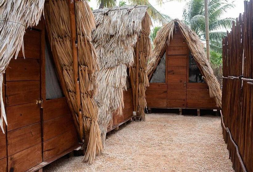 חדר סטנדרט חדר אמבטיה משותף, Mapache Hostel & Camping