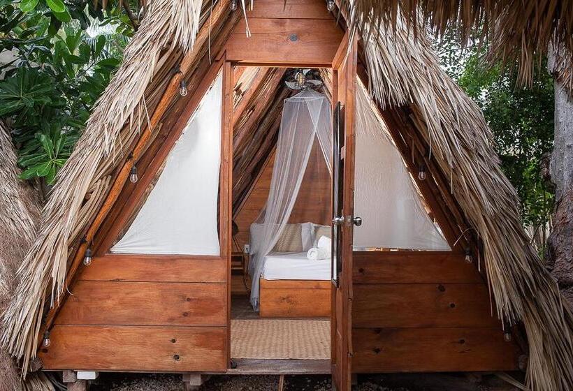 חדר סטנדרט חדר אמבטיה משותף, Mapache Hostel & Camping