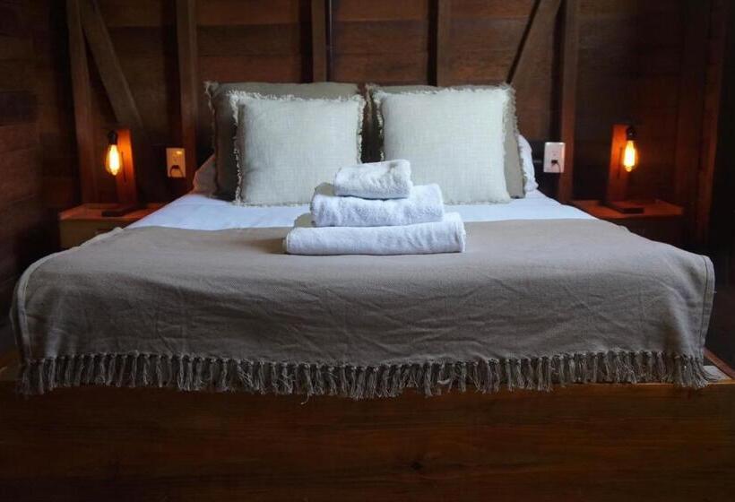 חדר סטנדרט, Mapache Hostel & Camping