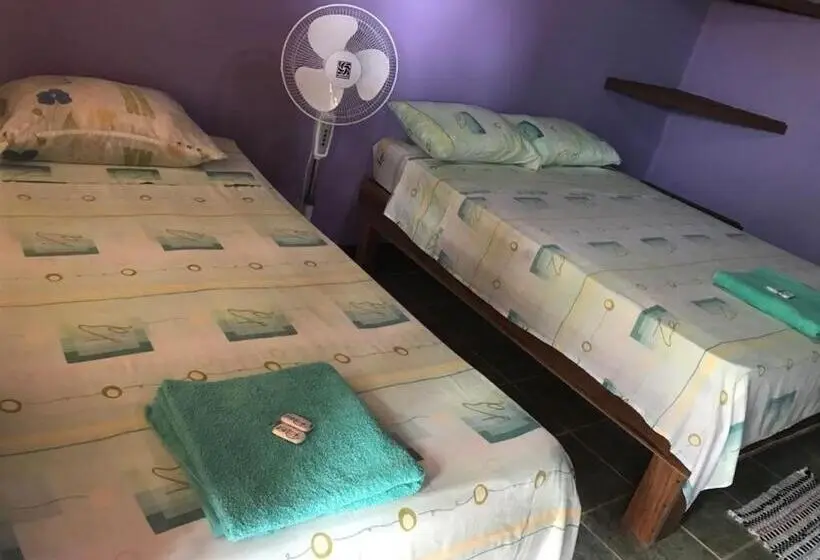 スタンダードルーム, Cabinas Surf Side