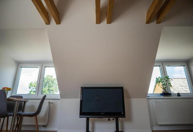 Студия Стандарт, Ubytovanie Alej Bojnice