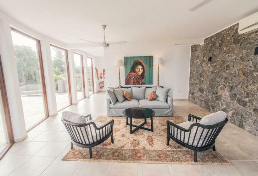 Vil·la 1 Dormitori amb piscina, Villa Thuya