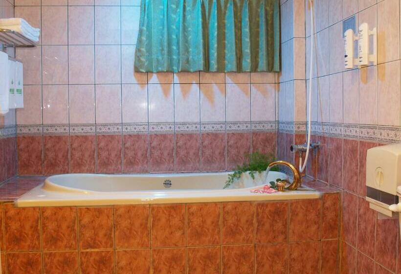 اتاق استاندارد, Park Motel