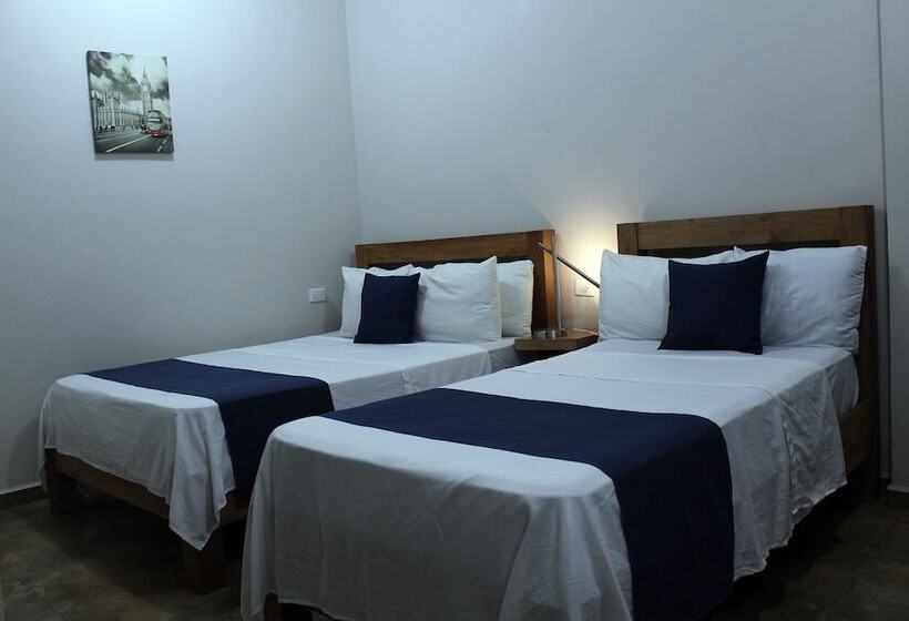 غرفة قياسية, 15 Avenida