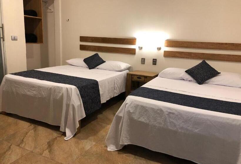 غرفة قياسية, 15 Avenida