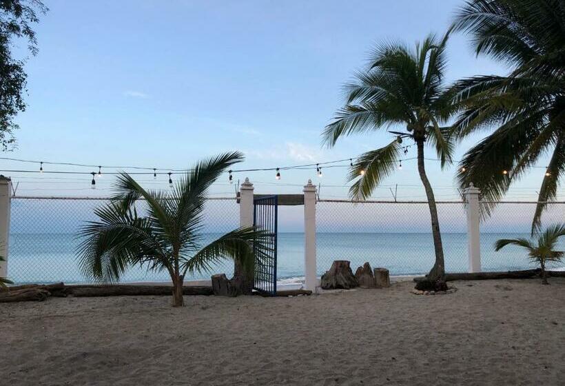 חדר משפתחתי סופריור, Casa Greca