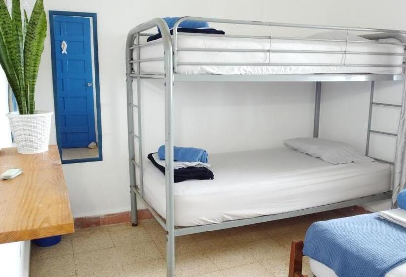 חדר משפחתי, Casa Greca