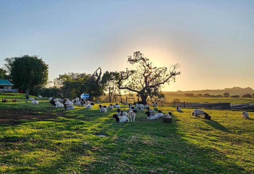 シャレー1寝室, Oppieplaas Self Catering Country Cottage