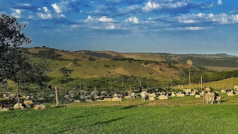 シャレー1寝室, Oppieplaas Self Catering Country Cottage
