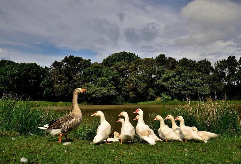 スタンダードルーム, Oppieplaas Self Catering Country Cottage