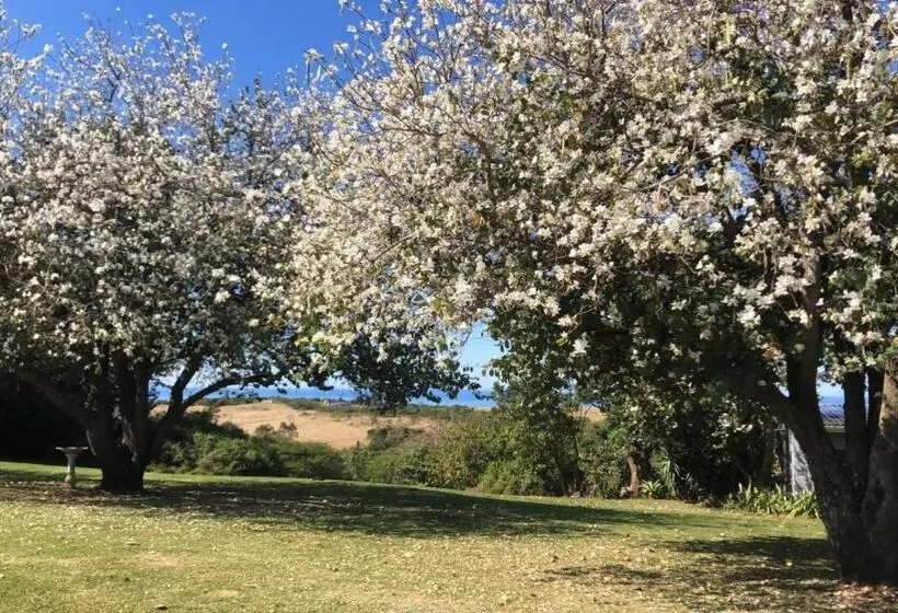スタンダードルーム, Oppieplaas Self Catering Country Cottage