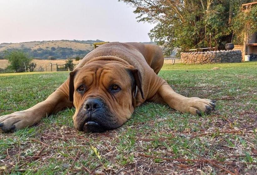 スタンダードルーム, Oppieplaas Self Catering Country Cottage