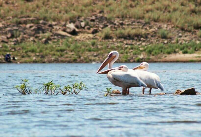 اتاق اکونومی, Von Bach Dam Resort