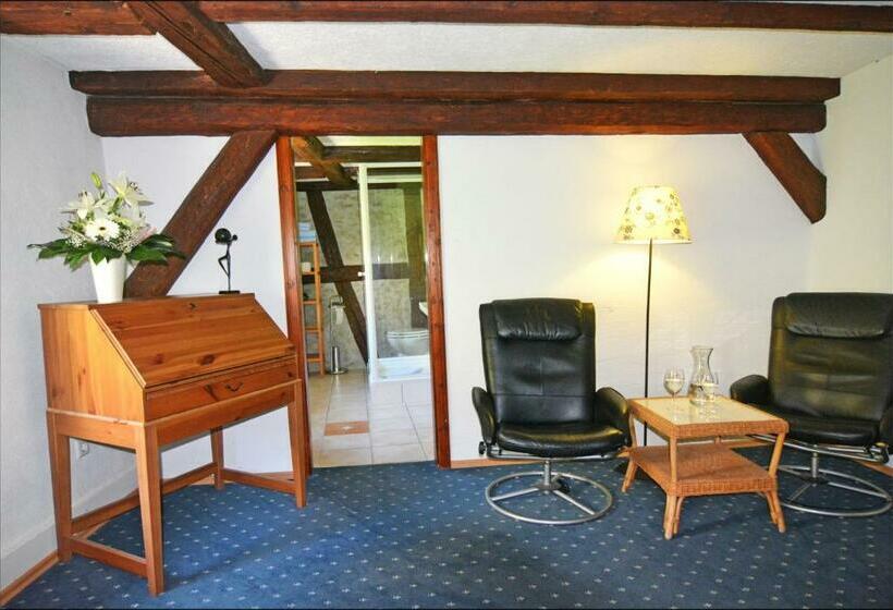 غرفة قياسية, Herberge Zur Traube