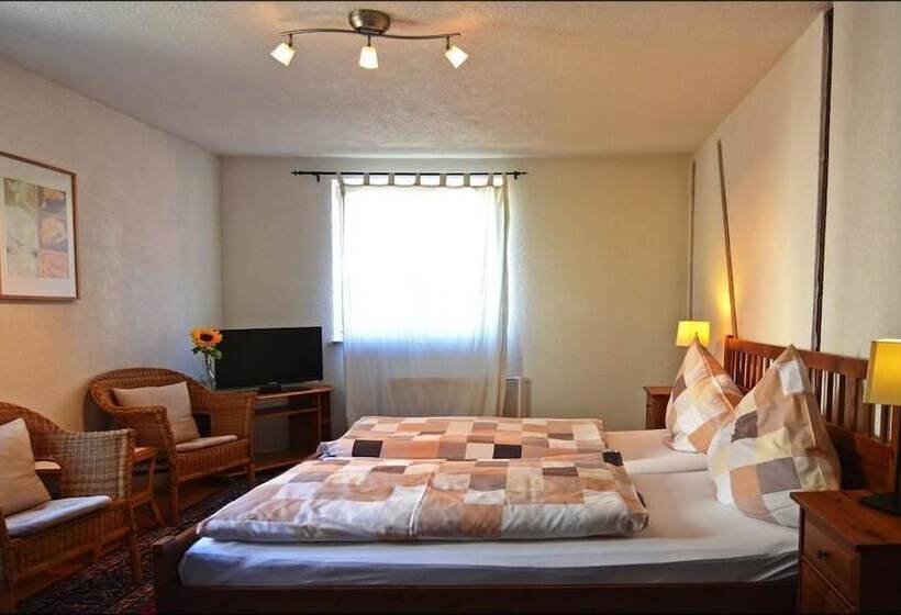 غرفة قياسية, Herberge Zur Traube