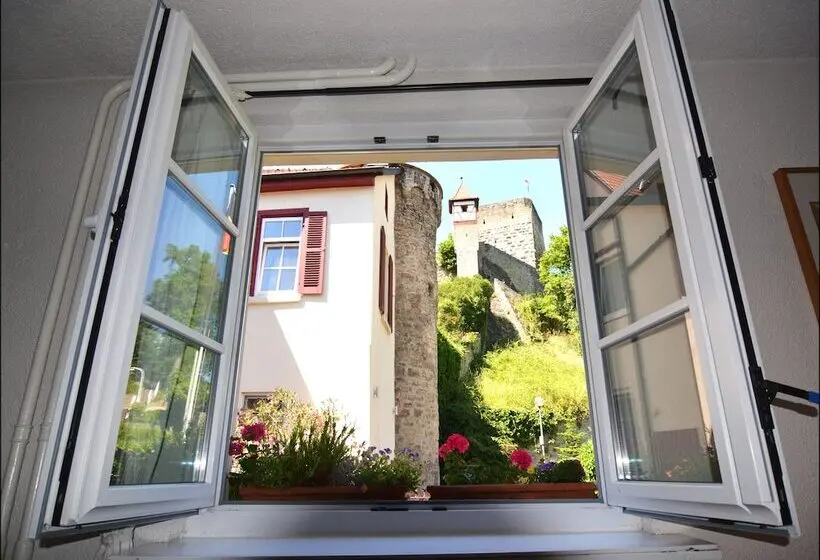 Standard Yhden Hengen Huone, Herberge Zur Traube