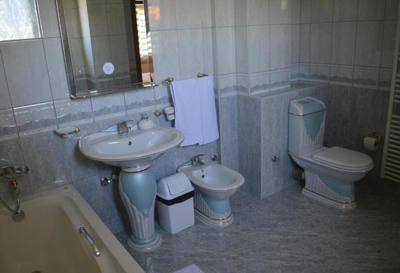 اتاق استاندارد, Drina Premium