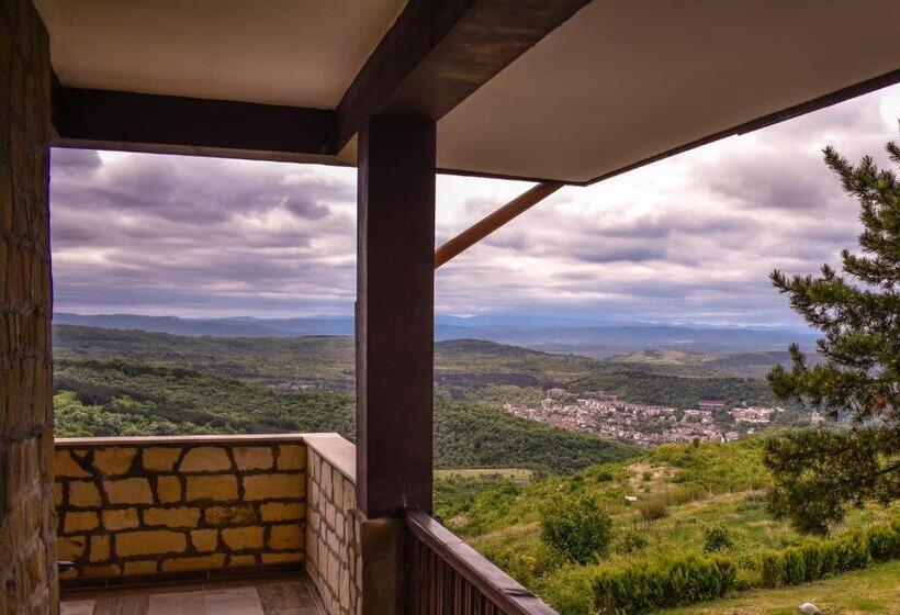 Номер Deluxe Вид на Горы, Complex Bolyarsko Selo & Spa