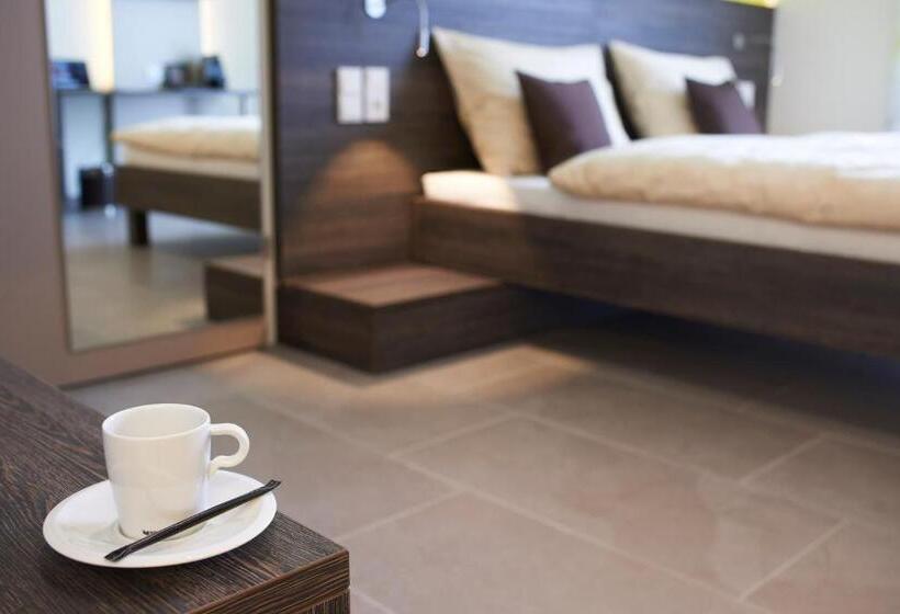 غرفة قياسية لذوى الاحتياجات الخاصة, Eee Hotel Traun